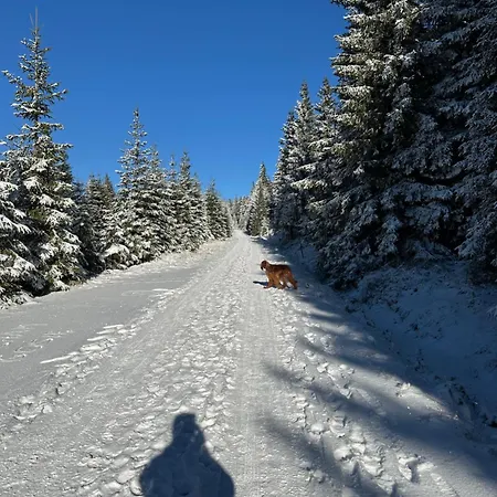 Mumlavy * Harrachov