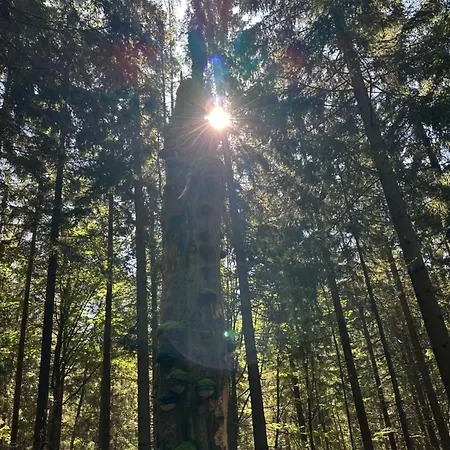 Mumlavy * Harrachov