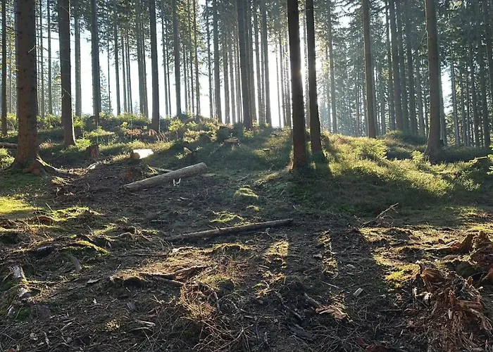 Apartmán Mumlavy Harrachov