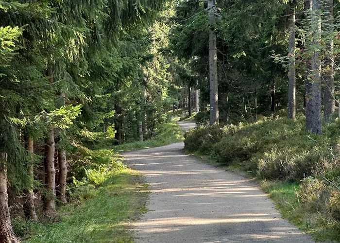 Mumlavy Apartmán Harrachov