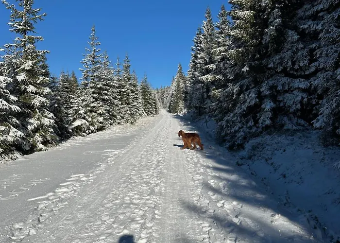 Mumlavy * Harrachov